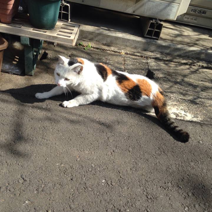 92c82679 3455 4ae8 87b3 e1ecc216a6a9