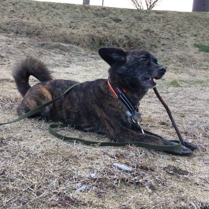 92c87e3b e78c 4fc6 ae30 a0c8c8bd8e08