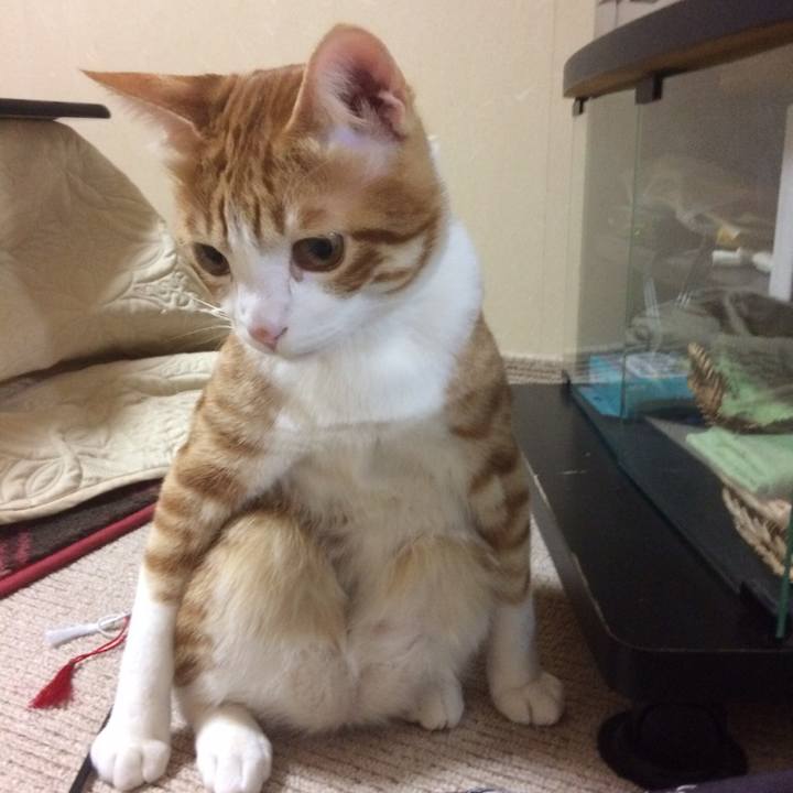 92c89e50 caf0 447e bcaa 1824f2018f41