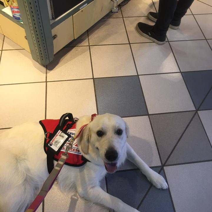 92c9a474 9dc1 421a 8d1a a8e7670d1a96