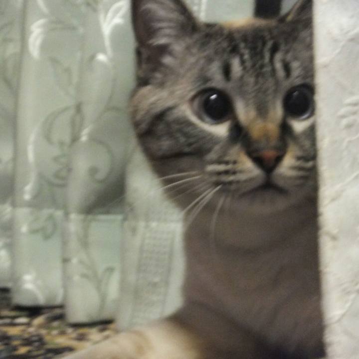 92cb9d8f 38c5 495d b79b 08cf29be1515