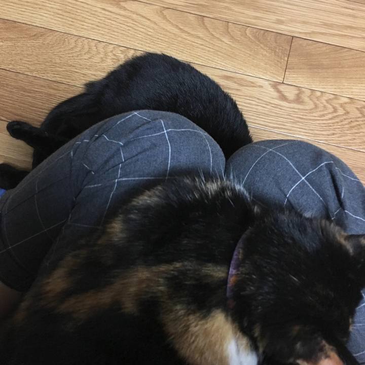 92cc8de7 2995 4069 af71 7cddc39c0cf0