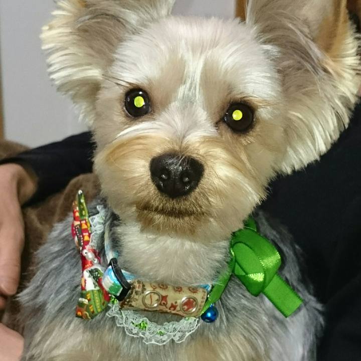 92ccd14d 4e9a 4791 8158 e33873411a51