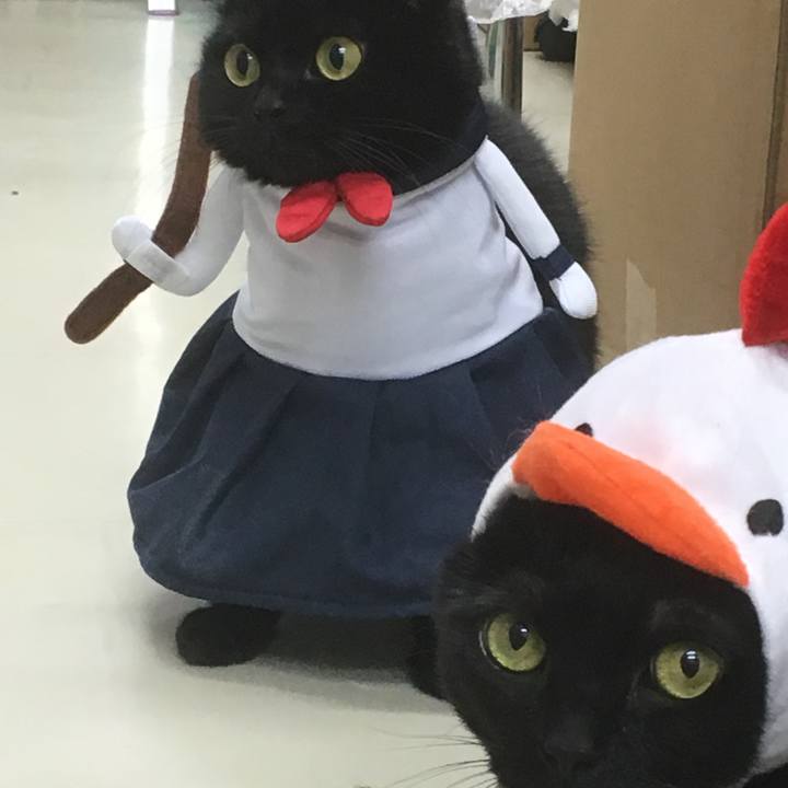 92cce2fe 2856 4b15 a4f6 c4d80fcc31da