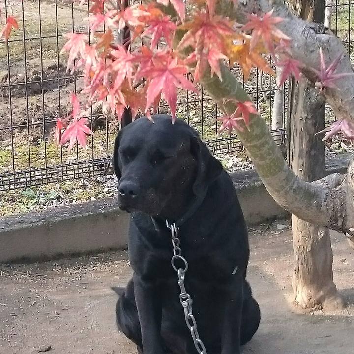 92cd89ba 093c 483a adf6 6119ad81e158