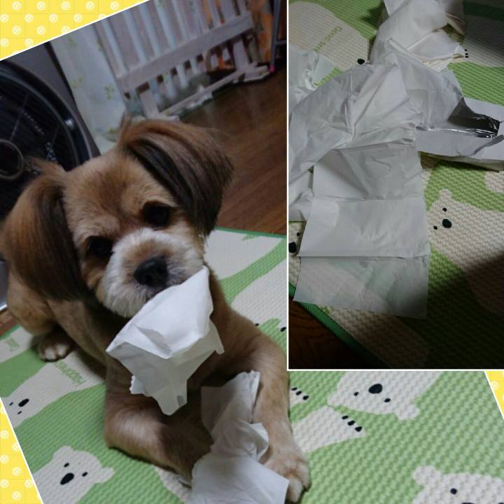 92cd8d6f acef 440f baf1 4046da389b72