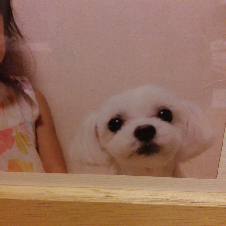 92cdb3de d774 404f 9826 060aaa42c8e3