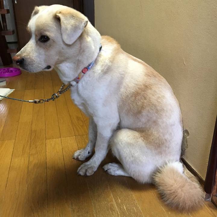 92cdb7ca 205c 4444 9efe ea4e4ae93fee