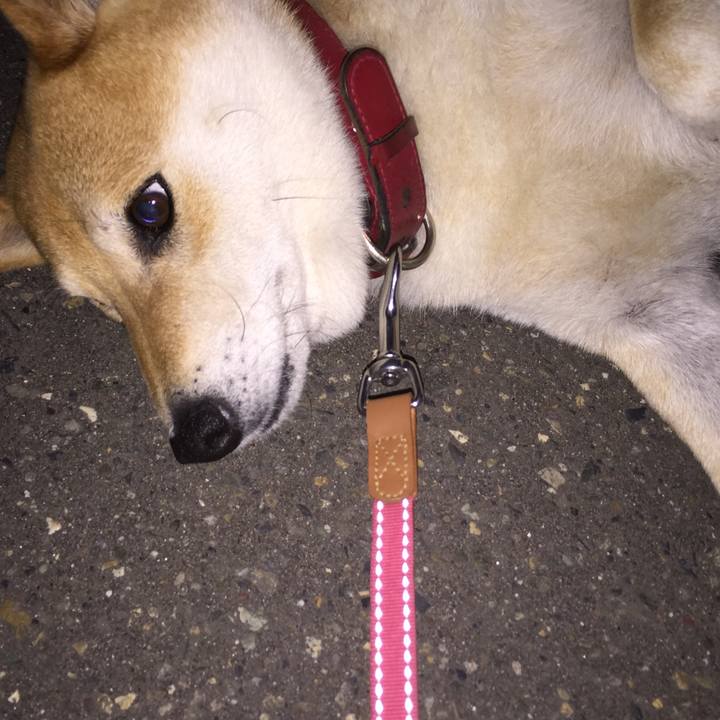 92cdd3ee b65b 43aa a34d 65d47e4da305