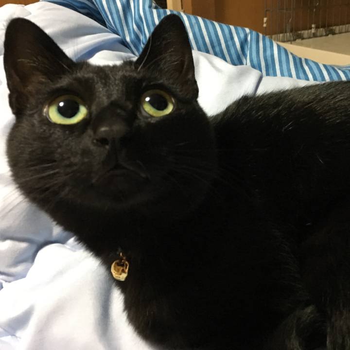 92ce4046 5c30 4338 bd84 6124a178e567