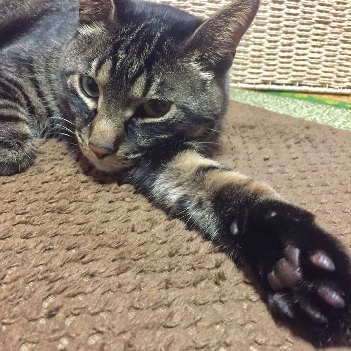 92ce448a e044 49d0 b48b 18f1c86ad7bd