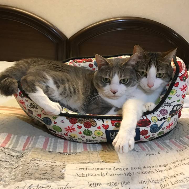 92ce5ba4 2428 4616 af24 18096a5fc566