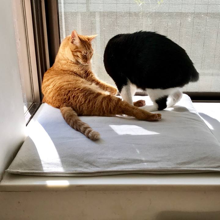 92ce9683 75ac 453b aeea eecd92315541