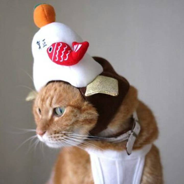 92cea2b5 5a2e 4aa5 a8c0 0ed8c51f723e