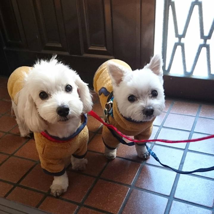 92d0babe 81d3 48e0 9b7b 7adc715d392c