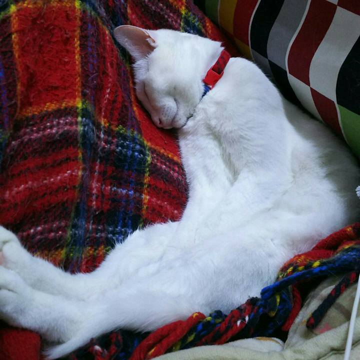 92d0c886 552b 4052 b8bf 6d8d0a31139d