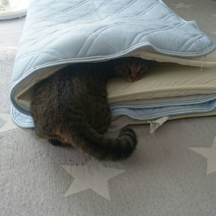 92d11d1a bd5c 4516 8e9e 37870320b571