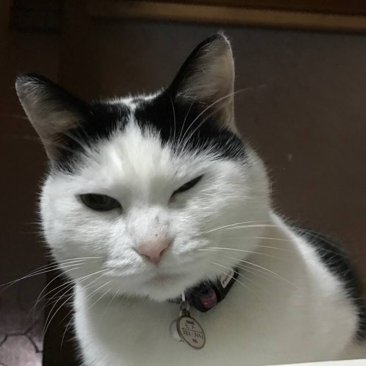 92d15a07 a512 4a40 a828 e52e1d74c3e1