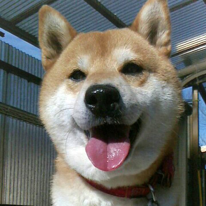 92d1d4d5 4990 4ec5 9d8b d821d336bbe9