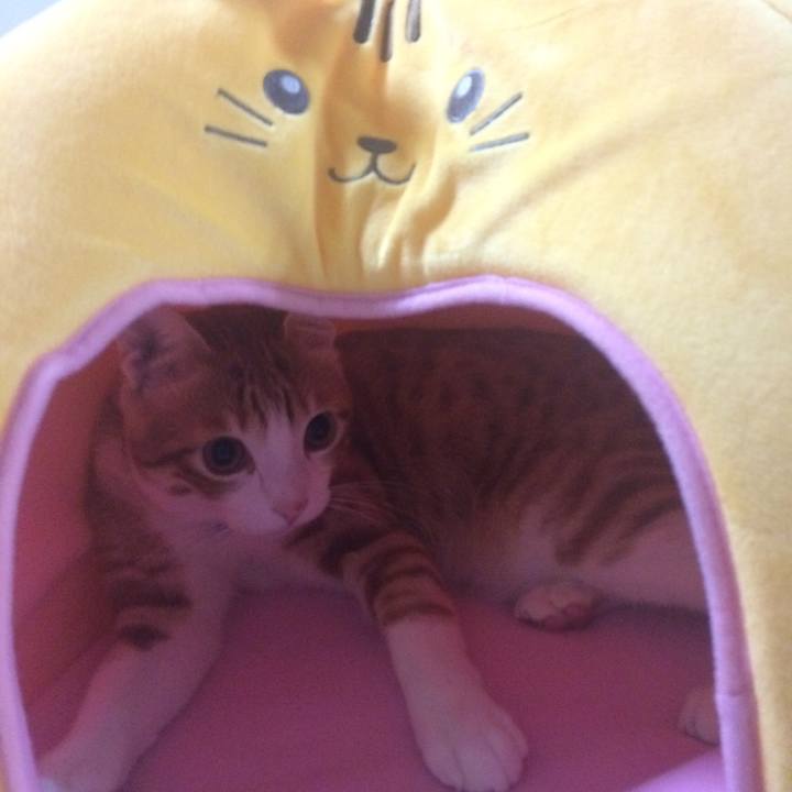 92d1db7a b473 4a4e 9f38 f024d2537dc4