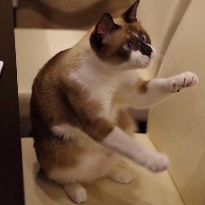 92d1fba2 0160 45fd b33f 9b531b1d3d38