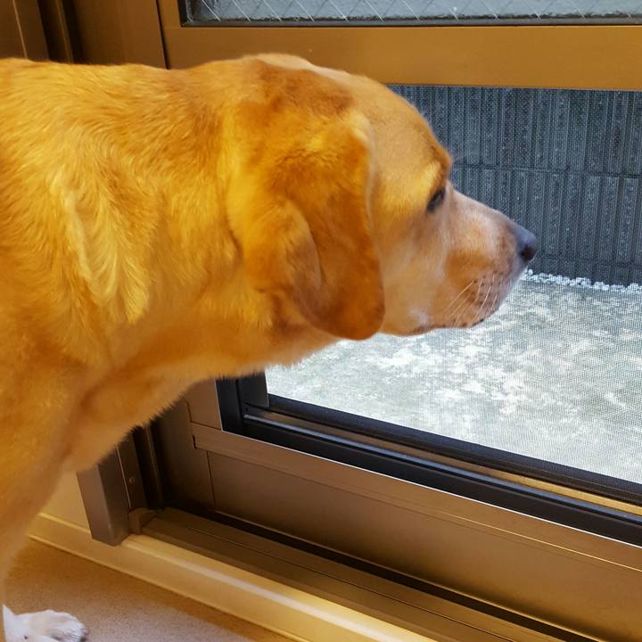 92d28990 abe5 4f1b a52e 702495efc32e