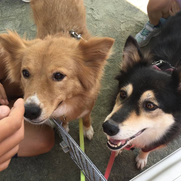 92d299f2 b538 4131 9e9b 2979270d3b98