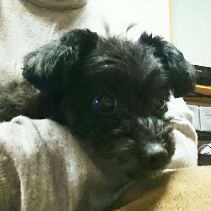 92d32a4b a0b1 4638 bebc 0020a9a0d953