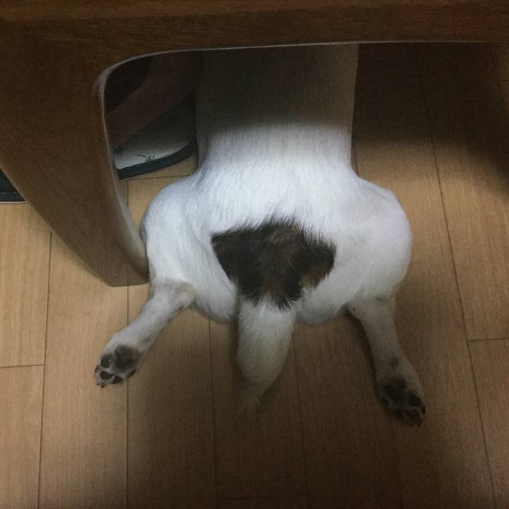 92d37aab f4e9 4423 9268 b6e4479ed57c