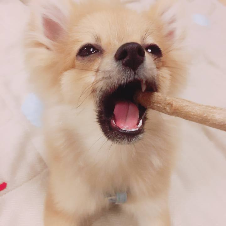 92d38b05 db4f 43c1 acf8 ceb4d15c4c9f