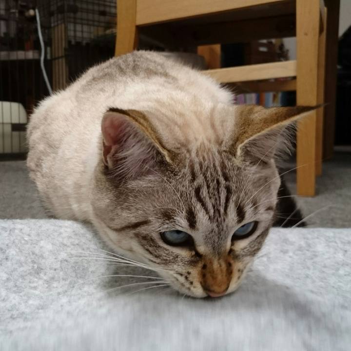 92d38e35 01df 4c3b bbd0 e5d8c9d98210