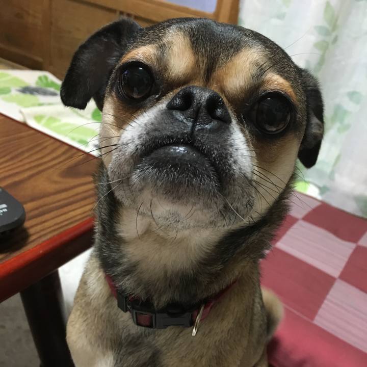 92d3a8c8 b714 453e bb1f 8411e611547b