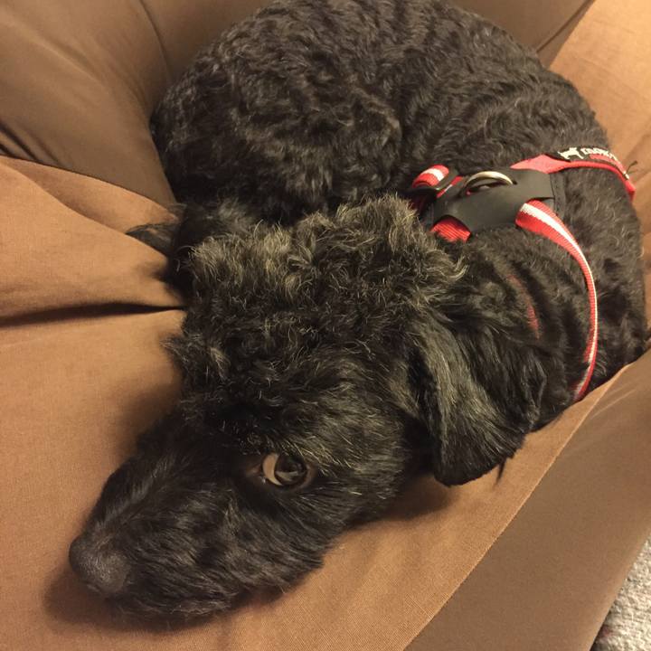 92d5975c 8444 4978 9512 1a82cd375752