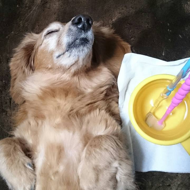 92d5f5ed 2b41 4f10 ad86 38cfa134c11b