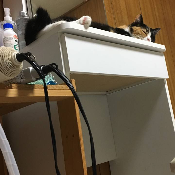 92d64cb7 c6ff 4a59 b1b6 89848127ff09