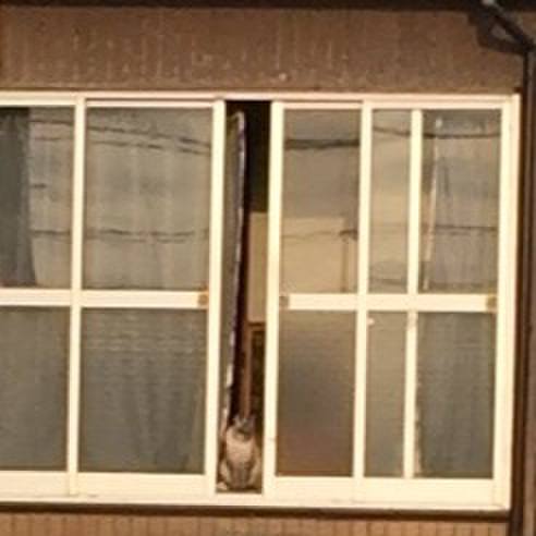 92d67c42 0a60 4e08 8772 561a7aec1d08