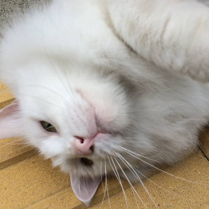 92d6c099 176b 4969 aaf9 80feebb12544