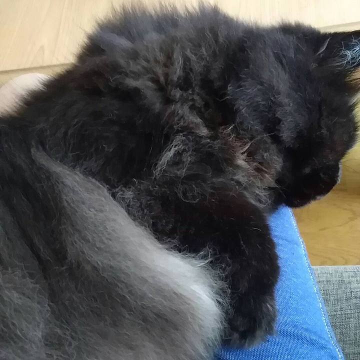 92d8ec7a da03 41b4 934a 049d3da4c8ae