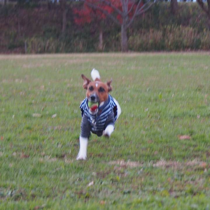 92d95483 66b4 4552 9c66 91609816d435