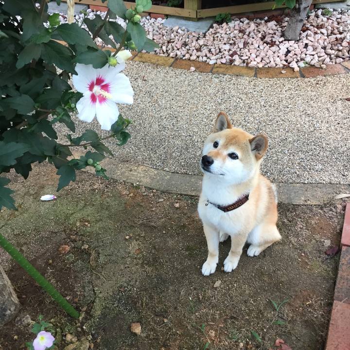 92d9ad2e e573 4eca a378 480e5d6a78cf