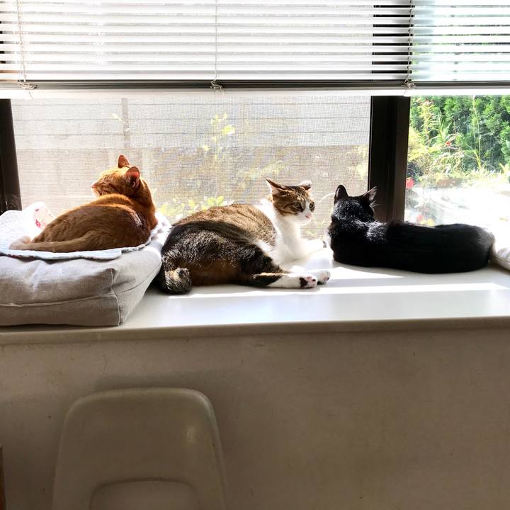 92d9ee40 4c10 423b 8420 ed622c86ff39