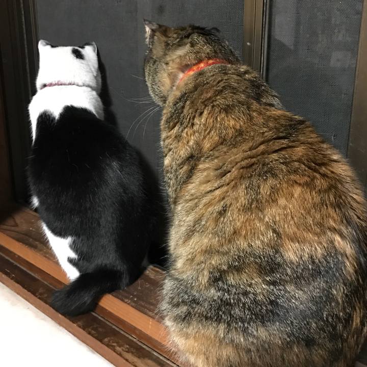 92dac04b cf67 47f3 ae93 8f7922d03433