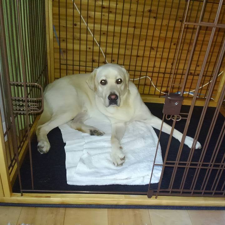 92dac9e7 3548 4b64 8442 9ba2bdd16c4c