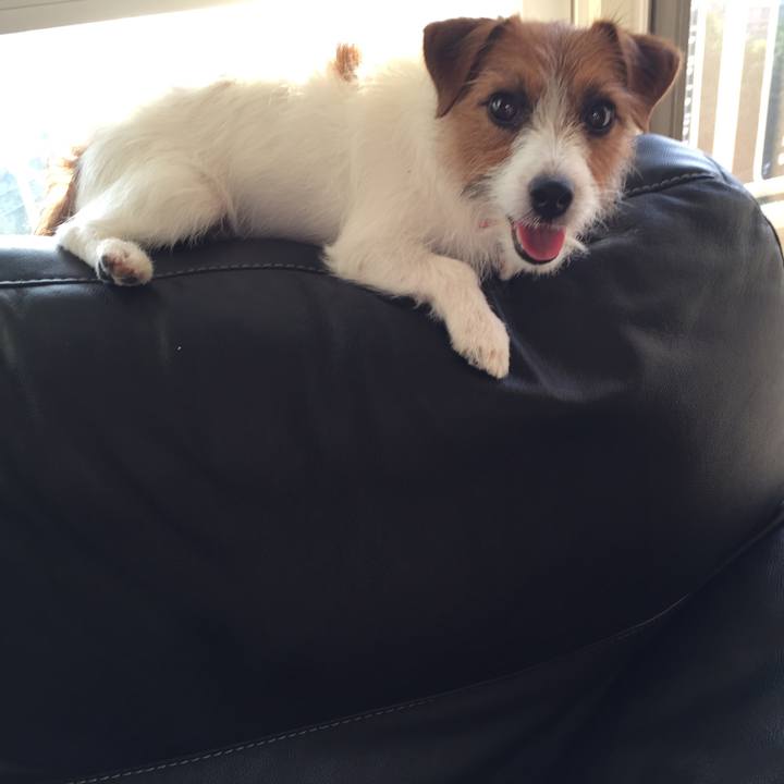 92daf27b 1c6d 4a1a ae82 e61d5cdacf24