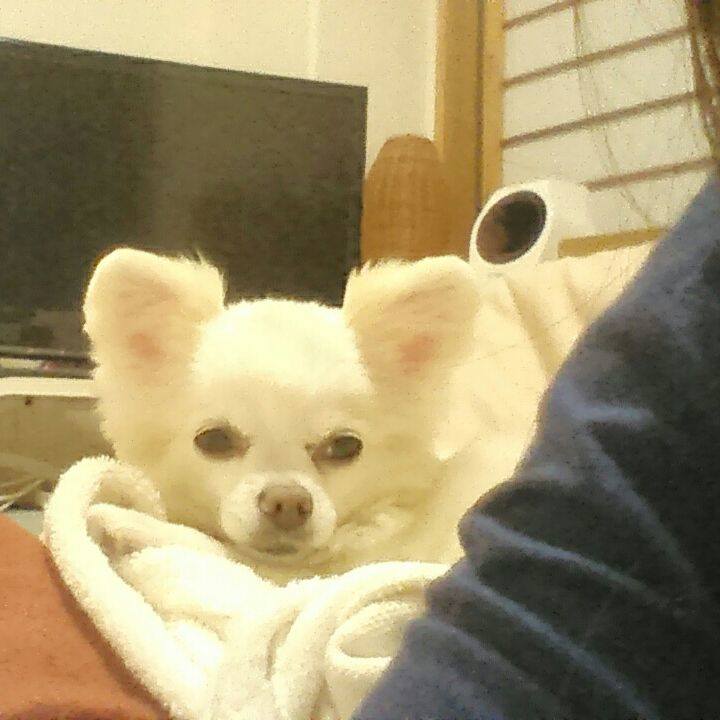 92db6e87 b878 471d bb23 ad007db62415