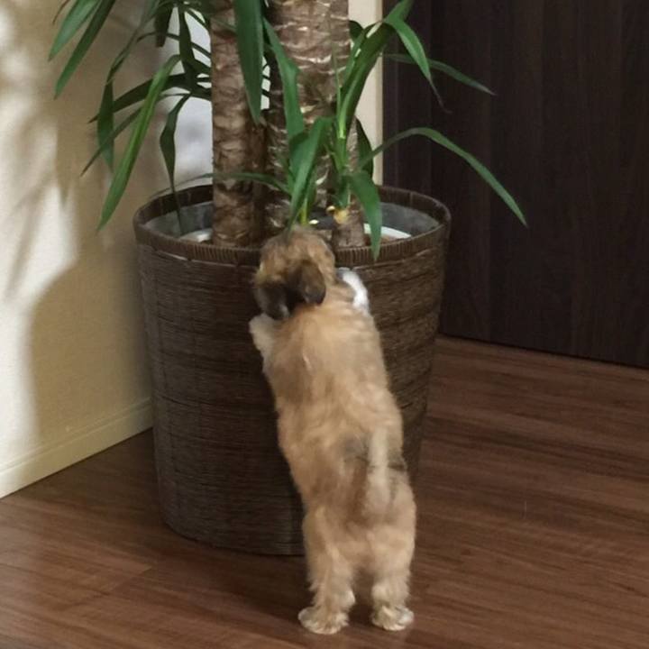 92db9fba 9506 4a48 91a8 3fbee6b3cd4d