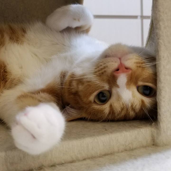 92dbab8e 7f3b 48a3 a04f 1ee3d55a4d1a