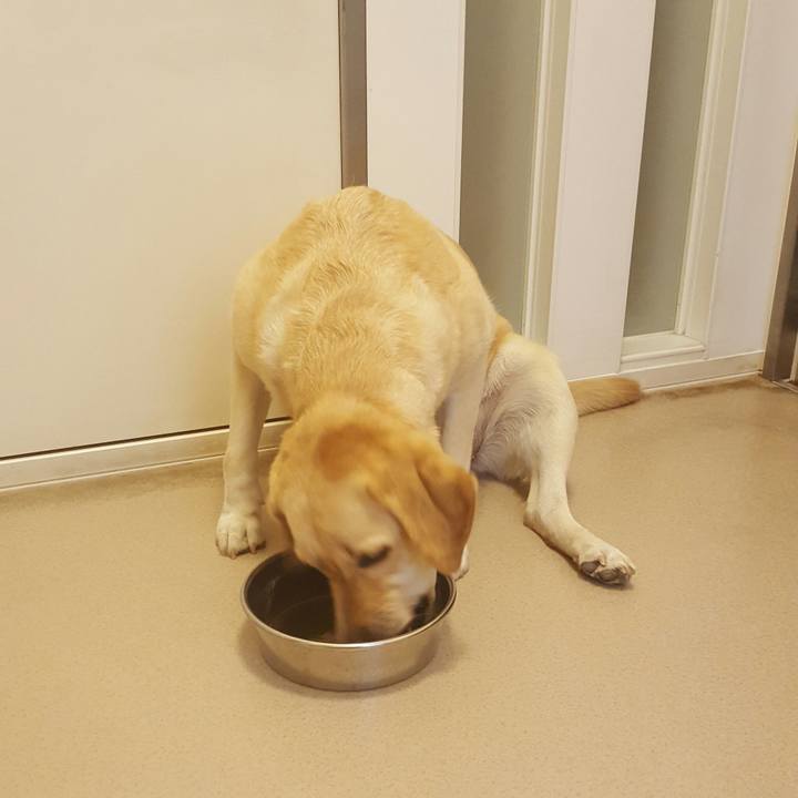 92dbc9ed 53d6 40a5 bd12 190e7b85194e