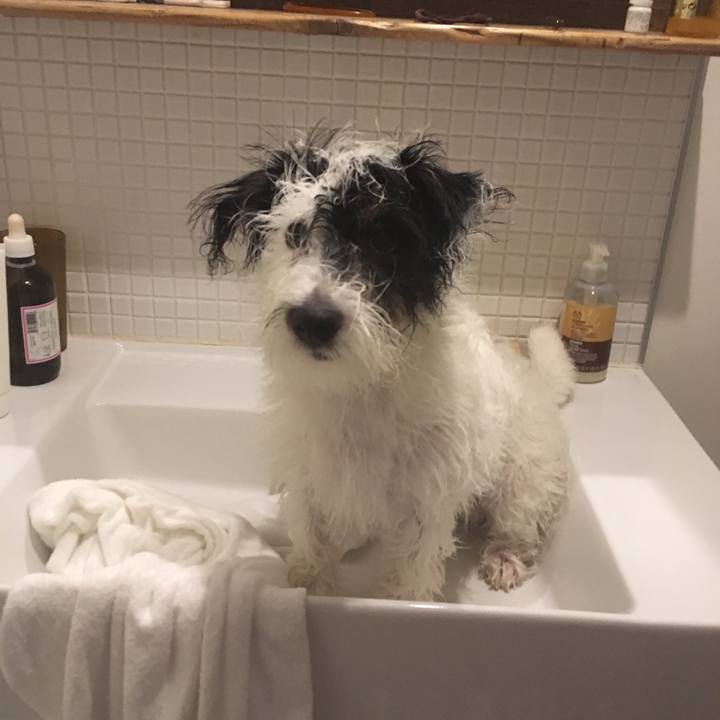 92dc1e2a b0cb 4ada 8dd3 c76171e71ea0