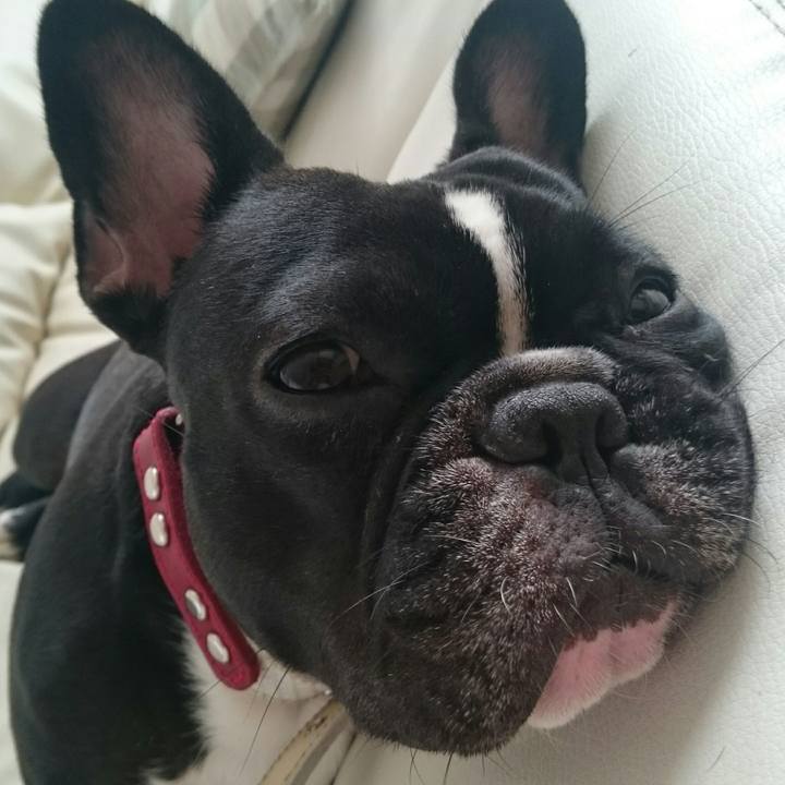 92dc1eda 1eee 46f2 911f dd222ad0d737